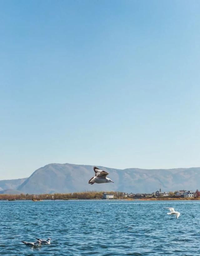 中国最美的50个地方,你去过几个