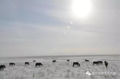 这些图片才是呼伦贝尔冬季的真实写照