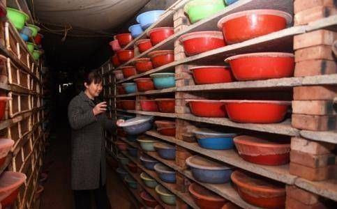  王大妈|河南农村夫妇养蜗牛20万只，每斤10元，年收入10多万元