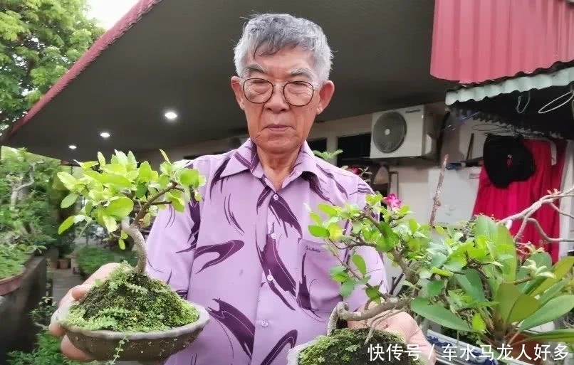 「小贩」庭院摆满逾200盆栽景 街头小贩的掌中盆景