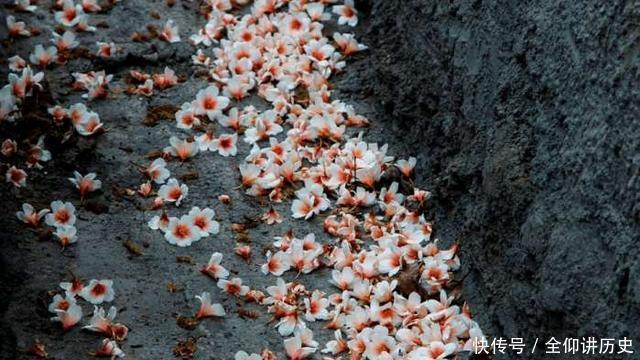 贵州最有潜力的一座城市,人口近千万,可是一个火车站都没有