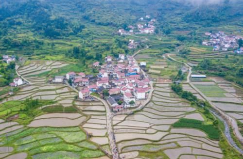 国内最适合养生村庄，风景优美生活闲适，住宿80元还包三餐！