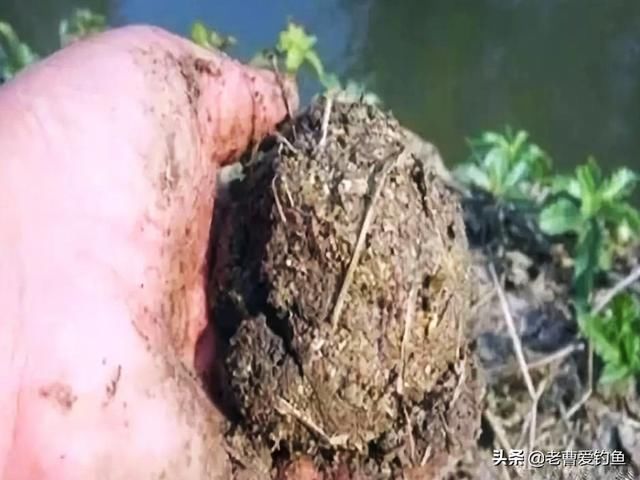  「绝学」钓鱼打窝“绝学”分享，诱鱼不理想的钓友看过来
