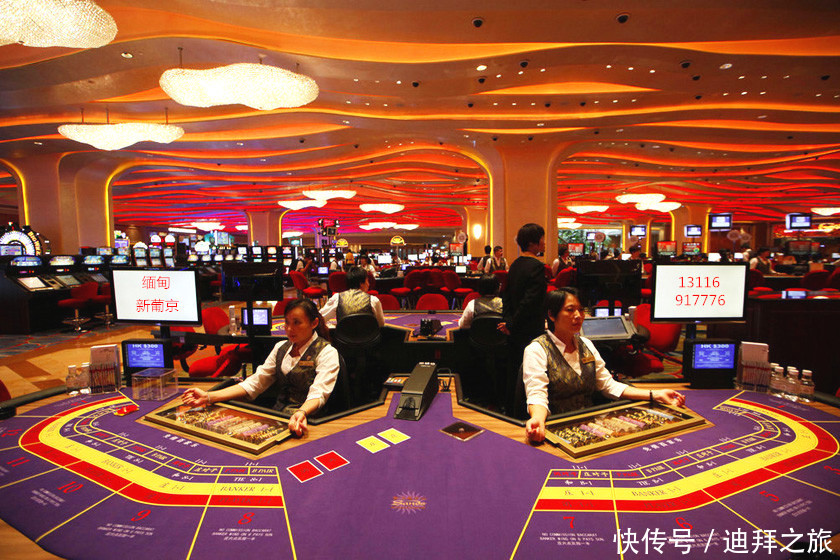 网红界“马蓉”串通澳门某赌场榨干王姓男子1.7亿金