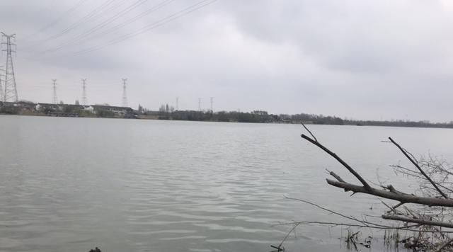  「没想到」首战壁虎河，没想到几条小鲫，钓出了新高度
