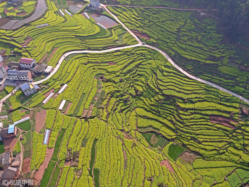 油菜花“开工大吉”？错峰休假去看春天第一拨花海