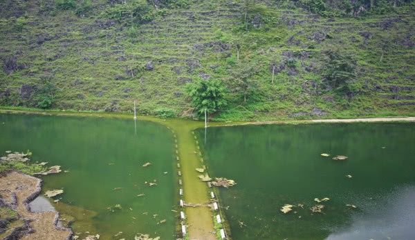 广西一村子成威尼斯，村民被地下水泡1个月，与世隔绝靠轮胎出行