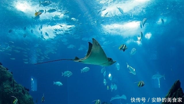 山东青岛游后感,究竟哪里才是让人印象最深的呢?