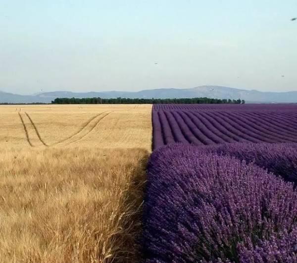 没有PS我怀疑我看了张假照片，那些年让人惊叹的真是照片