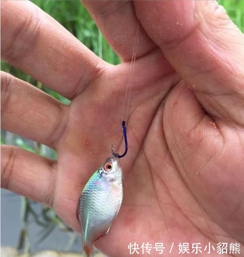  『水库』越来越没地方钓鱼，越来越没鱼钓，怪谁？钓鱼人真的要反省了