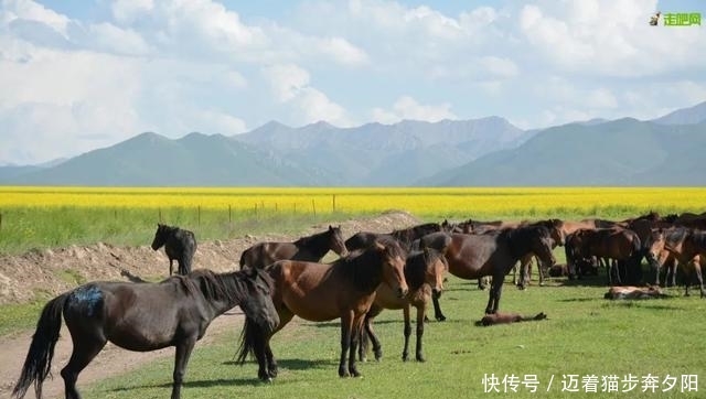 河西走廊自驾怎么玩？这份环线攻略请收好