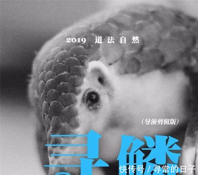  『真心』“香蕉钓鱼法”钓鲫鱼真心不错，基本1斤以上，1根能用一天