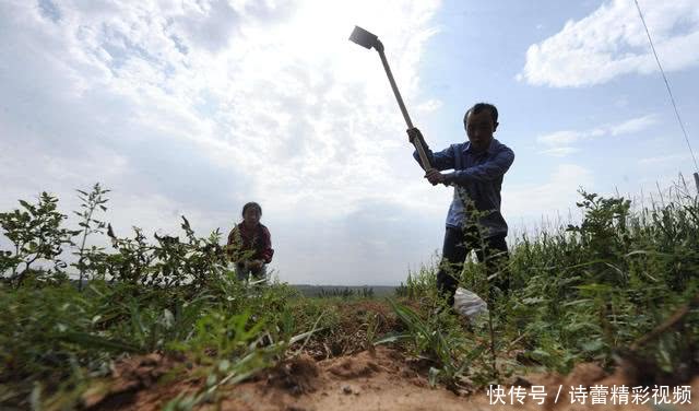 农村“土地30年不变”是没错，但这3种情况下，土地将会被回收