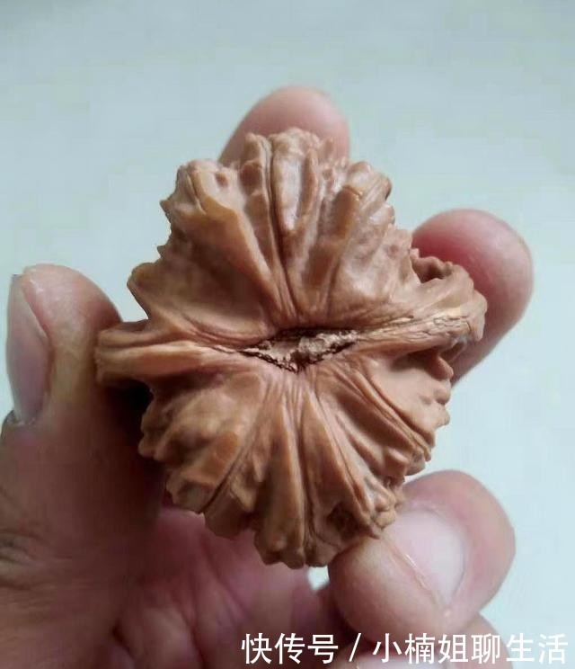 100种文玩核桃品种分享之44:白狮子头