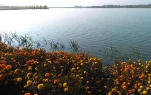 江苏最值得一去的两个旅游景点，就在连云港市，没去过就太可惜了