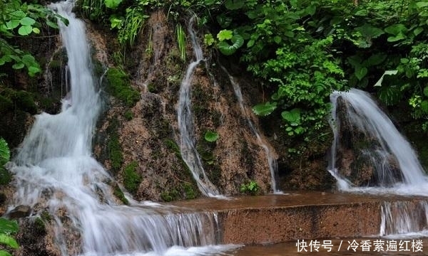 这个景区在河南，因景色美人来了不想走，瀑布群花海翠竹要素太多