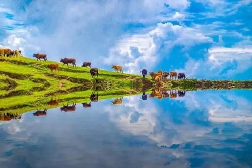  [堪称]四川定居“最爽”的城市，堪称宜居行业的领头羊，不是成