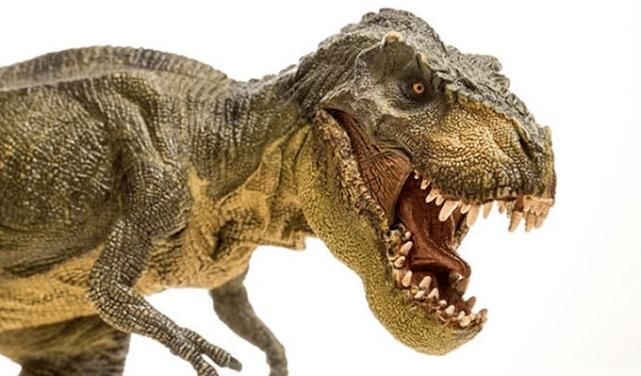 『霸王龙』霸王龙的前爪那么短,到底是用来做什么的看完长见识了