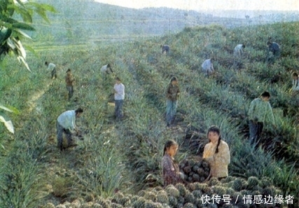 老照片 1978年广西 那个40年前美丽的广西