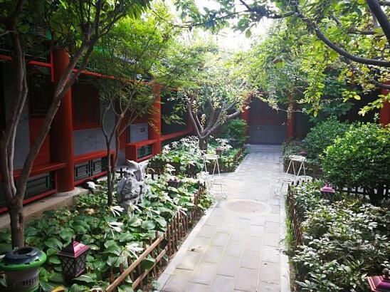 在北京小院儿里体验中国式生活