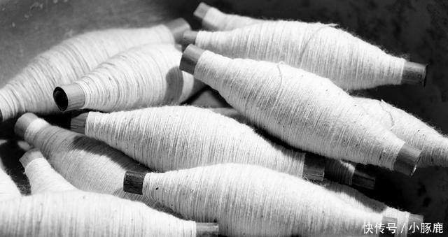 认识5个正常, 10个算厉害, 全部都认识的你就超“神”了!