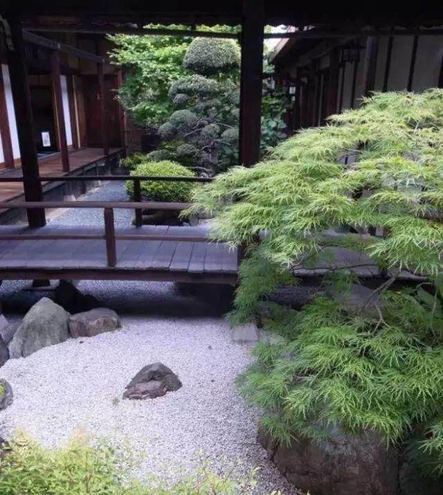 诗意心境，禅意鱼池，你所不知道的佛系庭院