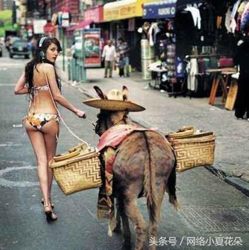 去西藏旅行的方式那么多,只服这5种,装B的穷游女好好学学!