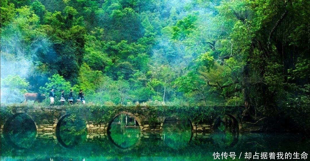 冬季十大森林中景色最美的一处,1、2月份也是山青水绿鸟语花香