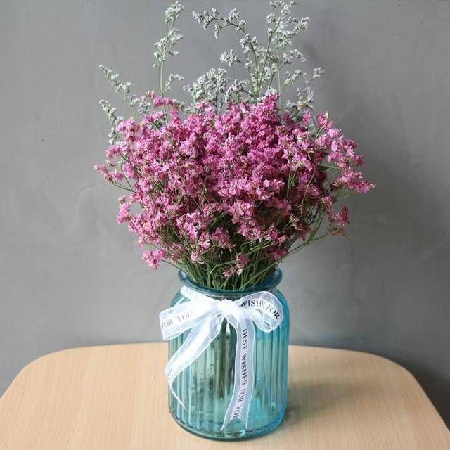  「旺盛」三步养花法！怎么种出长势旺盛的勿忘我？方法很简单！