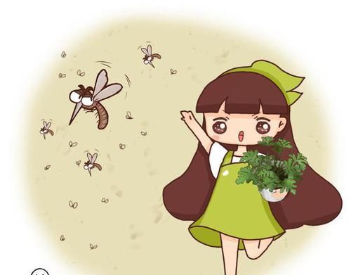  驱蚊■4种花闻着香，常年散发香味，还是捕蚊高手
