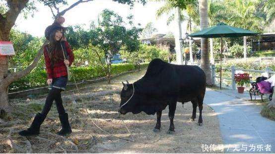 每天新消息, 杨颖小学照曝光, 画风让人辣眼睛, 但绝对没整容!