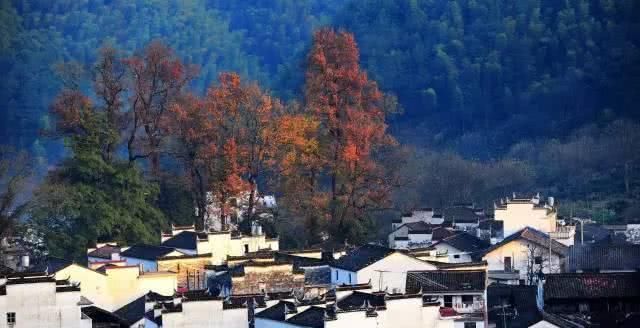 最美的享受，不用出国门，找一个小镇，任时间慢慢流淌