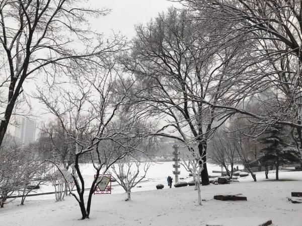 莱芜市迎来2019年第一场降雪 预计9号到10号仍然有一次比较明显的