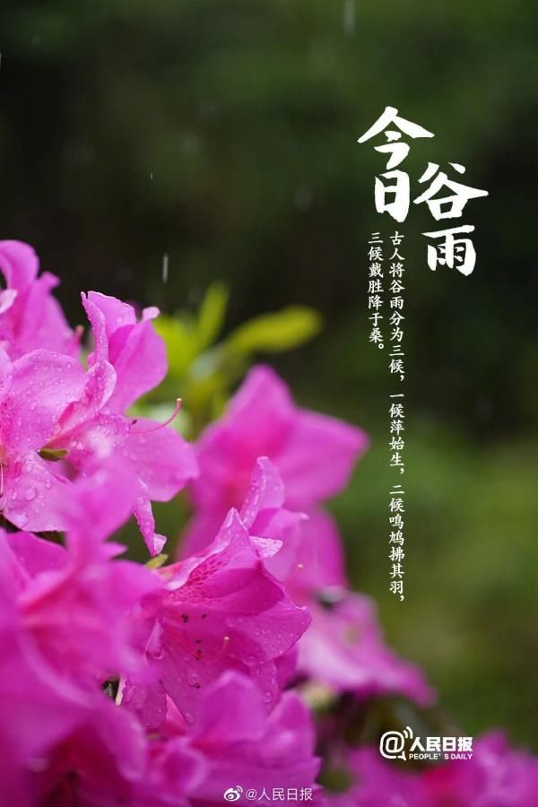  『节奏』最高温38℃！你以为海南入夏的节奏要来了？然而……