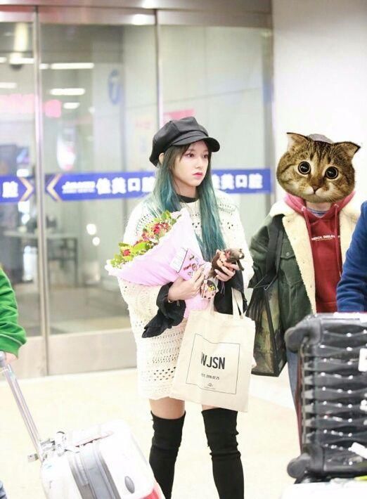 程潇长的还行，就是不会穿衣服，这样穿胖了几斤而且头发还油!