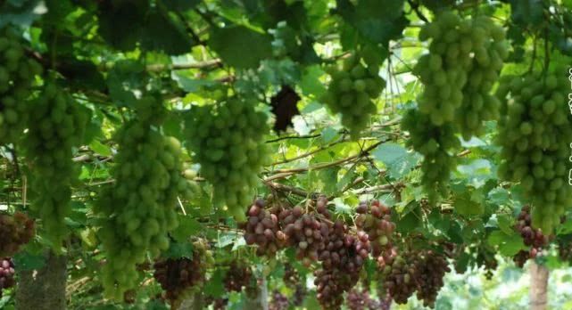 中国绝美公路＋仙境北疆13日落地自驾游