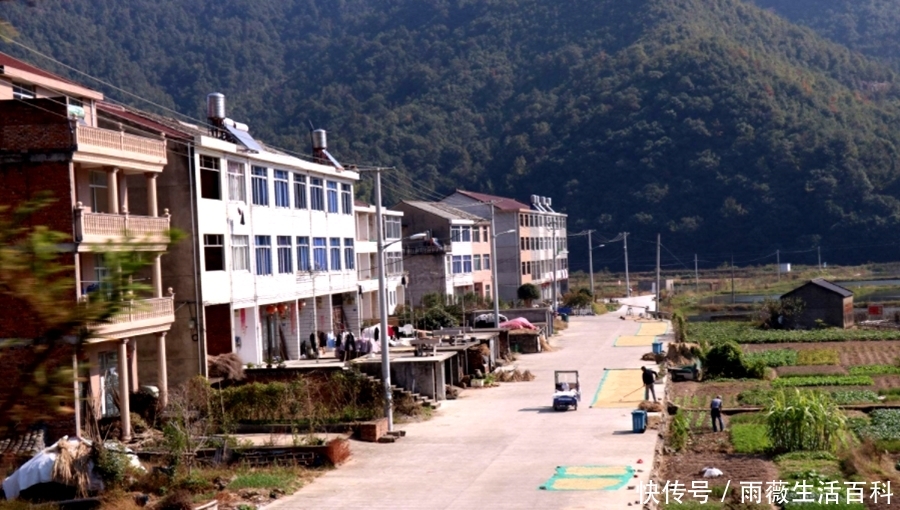  「每家每户」9月起，农村开展4大改善工程，涉及到每家每户，农