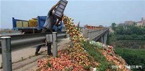 农民种的菜卖不出去, 只能含泪倒掉, 城里人还埋怨吃不起!