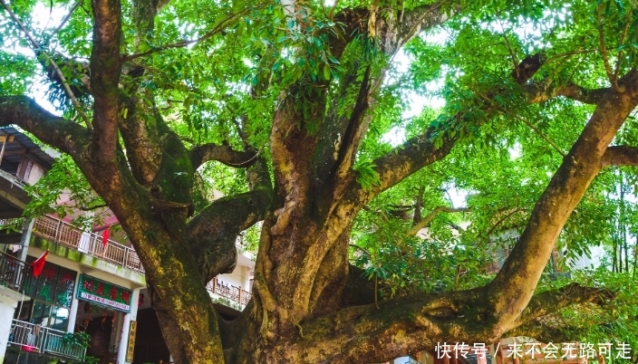 云南最美古村落,村民日出而作日落而息,宛如“世外桃源”!