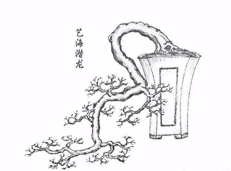  「难度」喜欢悬崖式，就是造型有难度？其实只因为心中没图，这里参考有数
