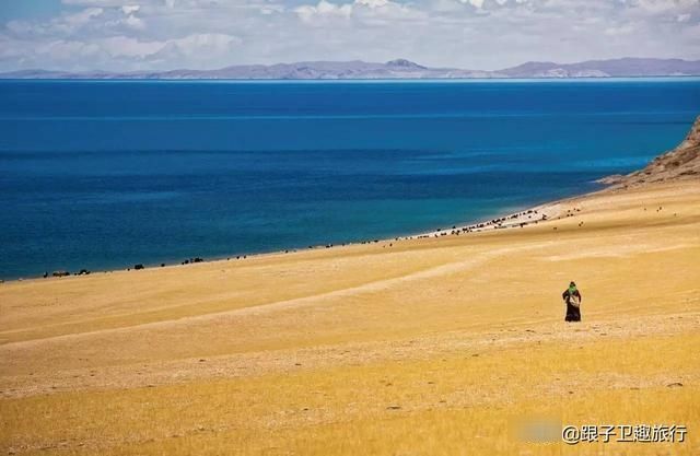  「变淡」青藏高原湖水变淡，受到世界各国科学家的广泛关注