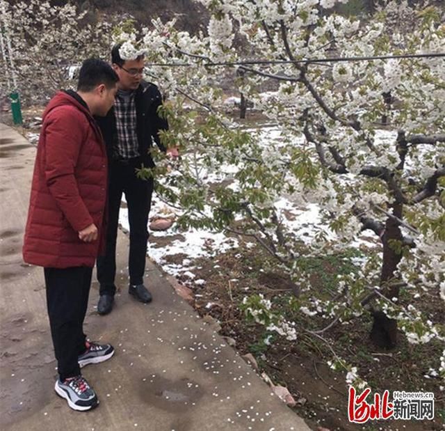  #相关#河北赞皇突降大雪 相关部门积极应对