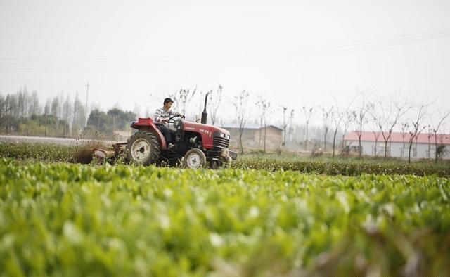 农村土改为何两次延期？专家：一些试点未能领会深意