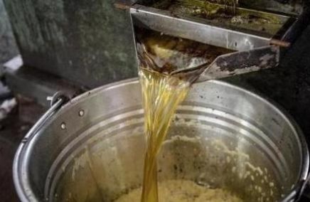  人人|农村人人都吃的自榨油专家却说不能吃，为什么？