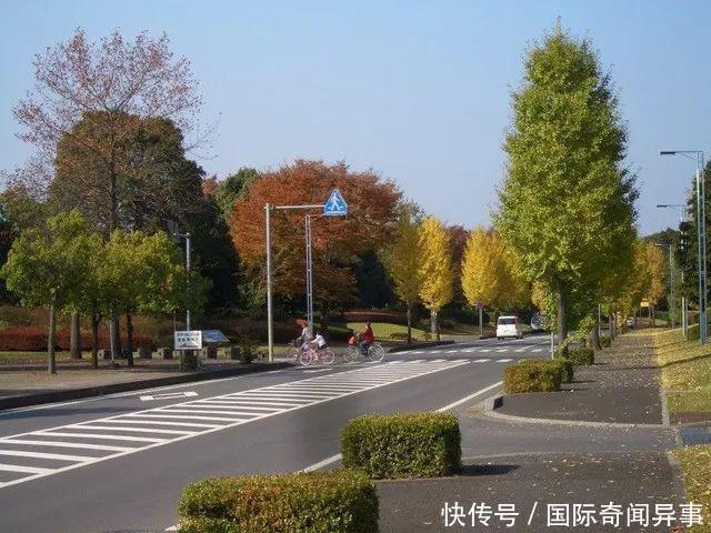 镜头下最真实的日本乡村生活，跟城市千差万别！