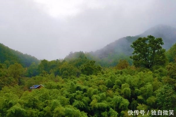 河南深藏一处原生态森林,景美人少山清水秀,国庆长假游玩有优惠