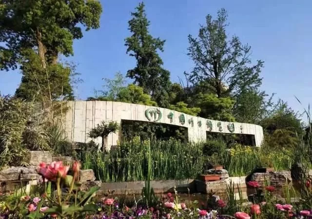 春天深呼吸,安吉来“氧”你!2020年三八女神节,可以来安吉旅游啦【2020热门旅游景点】