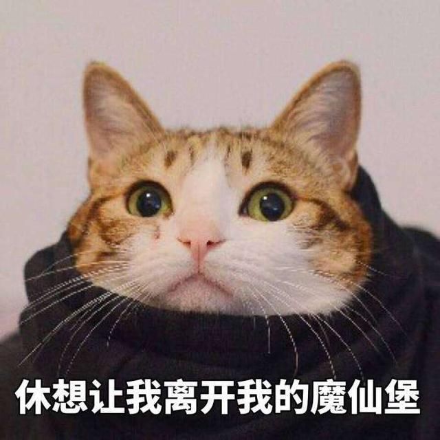 这些谣言害了多少孕妇，第一条大家就中招了！