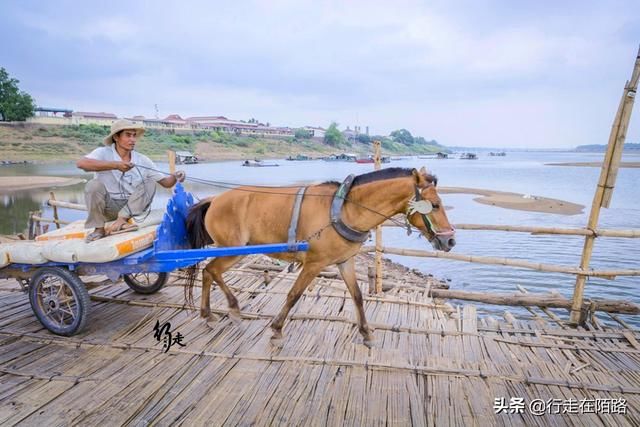 全球最长手工桥：每年3月建9月拆，一天能收200万过桥费