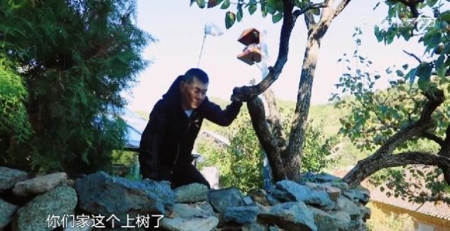 张国立陈建斌综艺